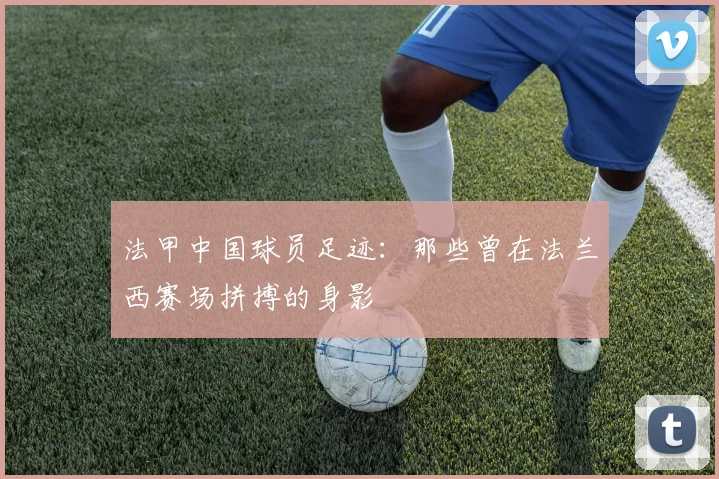 法甲中国球员足迹：那些曾在法兰西赛场拼搏的身影