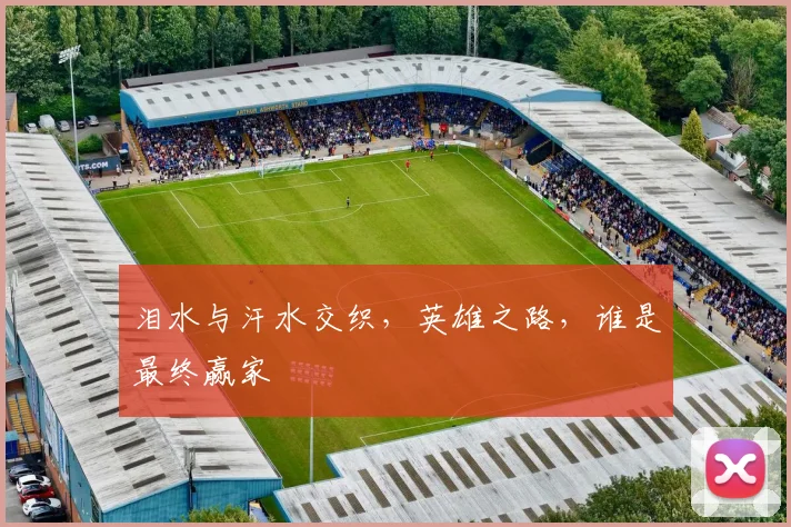 泪水与汗水交织,英雄之路,谁是最终赢家