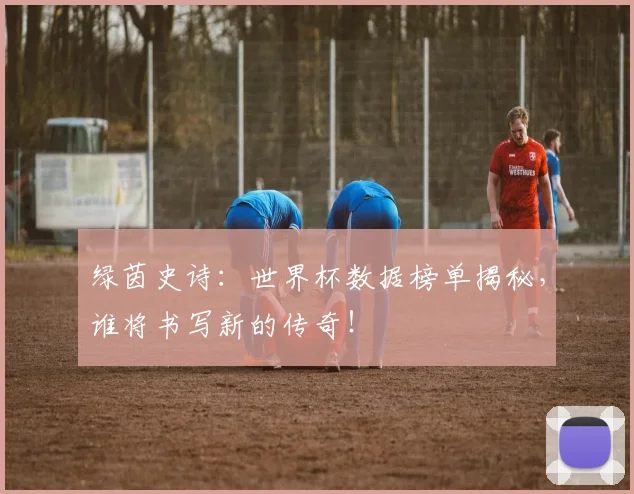 绿茵史诗：世界杯数据榜单揭秘，谁将书写新的传奇！