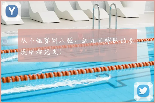 从小组赛到八强，这几支球队的表现堪称完美！