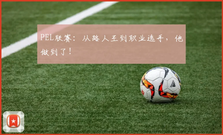 PEL联赛：从路人王到职业选手，他做到了！