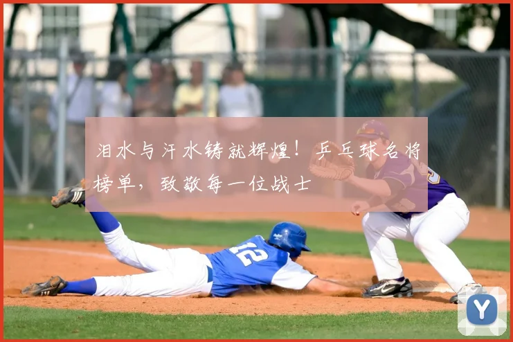 泪水与汗水铸就辉煌！乒乓球名将榜单，致敬每一位战士
