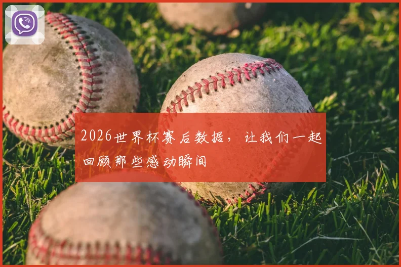 2026世界杯赛后数据,让我们一起回顾那些感动瞬间